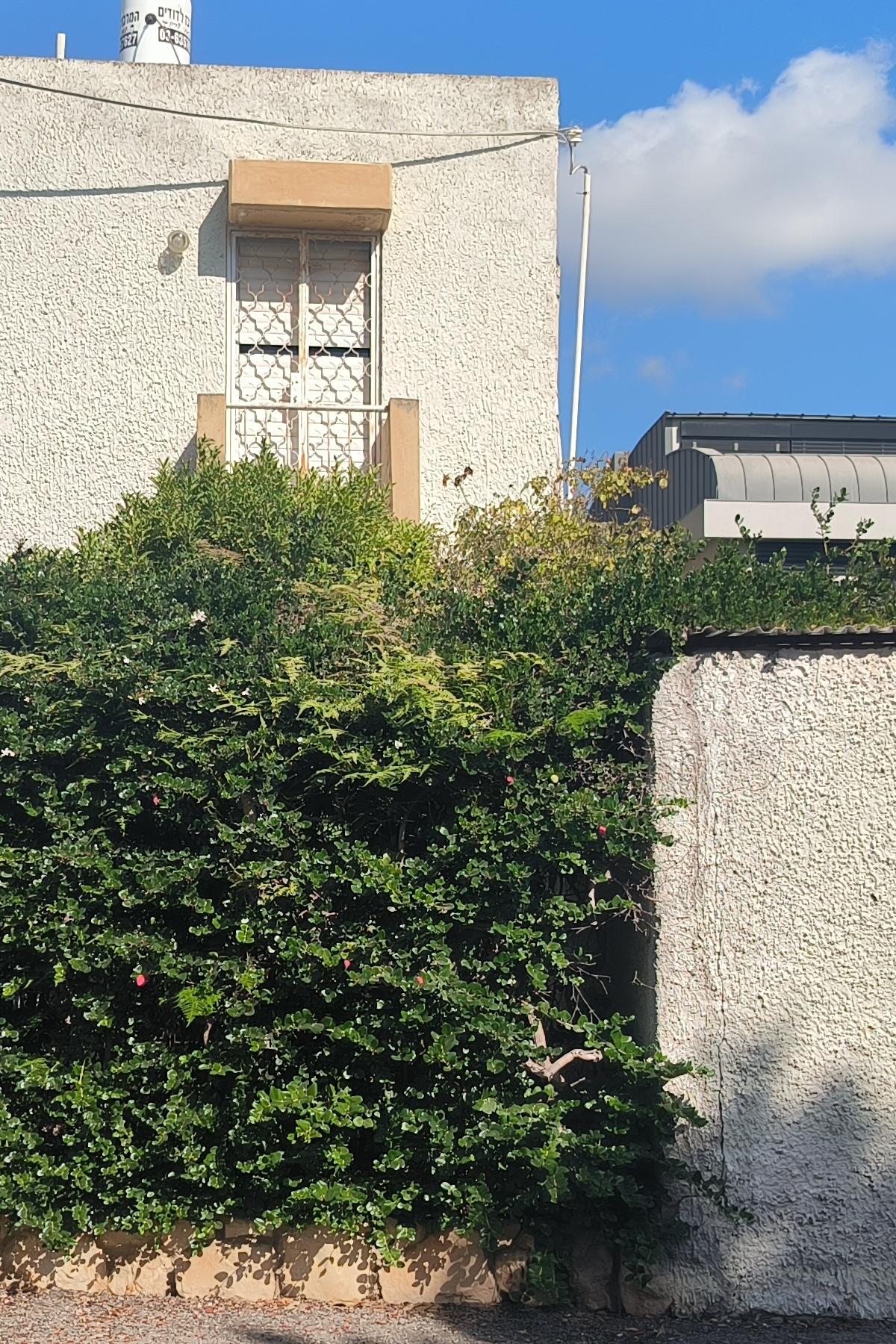 Maison individuelle à vendre à Shevet Menashe, Herzliya - שבט מנשה, הרצליה - photo 7
